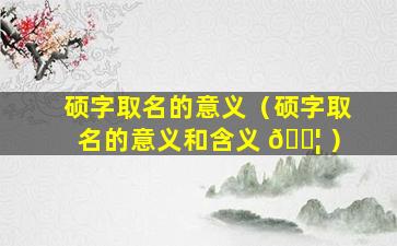 硕字取名的意义（硕字取名的意义和含义 🐦 ）